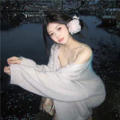 宝嘉先生